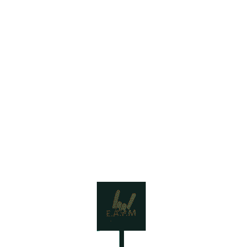 Sponsor