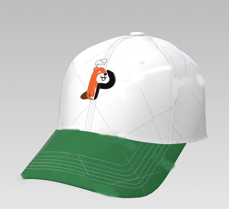 Gorra Delantera