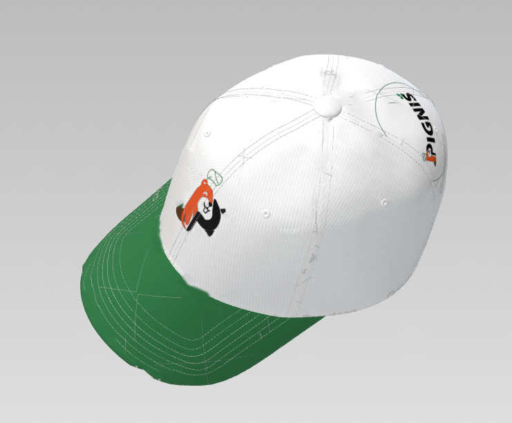 Gorra Trasera
