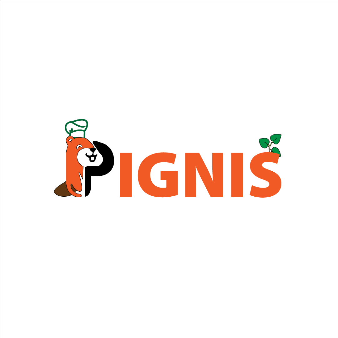 Pignis Logo